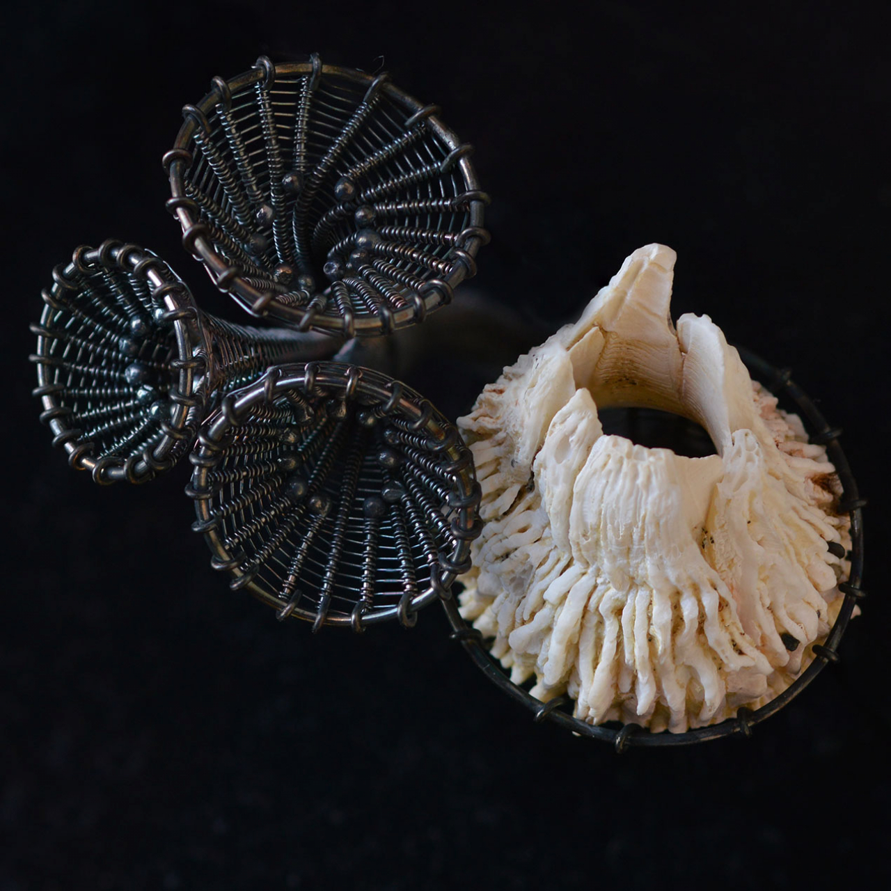 seapock-barnacle-with-three-chalices-maja-houtman-silver
