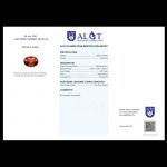 hessonite-garnet-algt-antwerp-certified