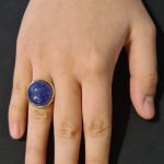 gold-tanzanite-custom-made-ring-2lips-dutch-design-unique-jewelry-designer-goldsmith-david-aardewerk