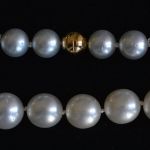 akoya-pearl-necklace