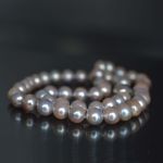 blue-grey-akoya-pearl-necklace-8-8-5-mm