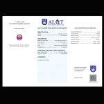 18k-pink-gold-round-halo-candy-ring-algt-antwerp-certified-0-87-ct-pink-sapphire-no-heat-0-3-ct-of-kimberly-certified-natural-di