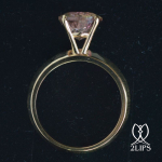 18k-yellow-gold-stackable-2lips-ring-green-red-tourmaline-dutch-design-david-aardewerk-next-generation-x