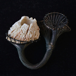 seapock-barnacle-with-three-chalices-maja-houtman-silver